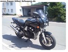 FZS600 Fazer (1) FZS600 Fazer (1)
