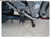 ZZR600-3
