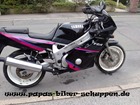 FZR600 Bastler (6) FZR600 Bastler (6)