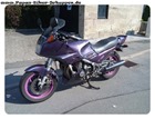 FJ1200 Lila (1) FJ1200 Lila (1)